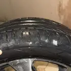 جنوط ريو