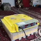 فقاسة اوتوماتيك