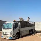 دينا نقل عفش وأثاث