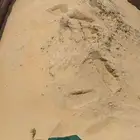 توريد حجر