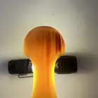 جنبيه قرن ما تفرق بينه وبين زراف