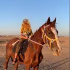 للبيع فرس معاها مهر