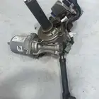 دودة دركسون سوناتا