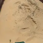حجر ورمل