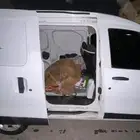 رينو دوكر فان للبيع