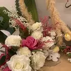 ستاند شبكة - خطوبه - مهر