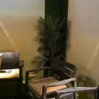 استراحة وشاليه للايجار مكة المكرمة