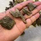 عود كينام طبيعي مستزرع .