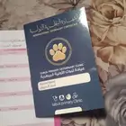 قطه شيرازي انجورا للتبني بسبب السفر