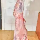 بهم حري ذبايح خثعم