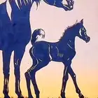 مربط نوادر طيبة