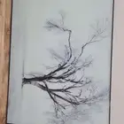 مناظر نظيفه وثقيله وجميله استخدام خفيف للبيع