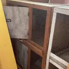 محاكر حمام صيصان ارانب