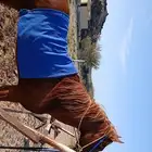 للبيع حصان عربي شعبي على السوم