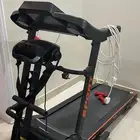 سير مشي