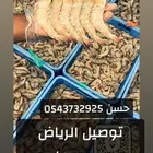 نعود لكم من جديد في موسم روبيان ربيان جمبري