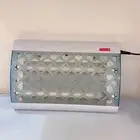 صائدة البعوض