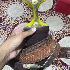 جنبيه كفو
