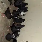 حمام قلاب قطايف
