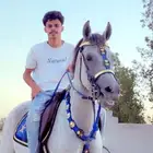 مستلزمات خيل للبيع طقم زينه