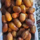 رطب صفري
