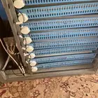 دجاج وحمام وفقاسه