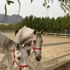 عسير