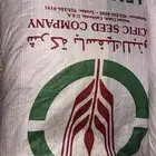 بذور برسيم أمريكي