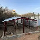 شبوك وصنادق للحلال والطيور