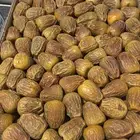 جالكسي تمر