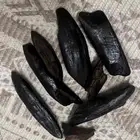 جازان صامطه