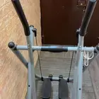 الغزال الطائر