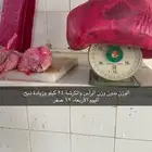 ذبيحتك لباب بيتك سواكن تربية