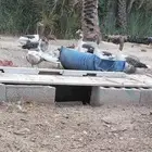 اوز وبط بكيني