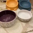صحون اكل قطط