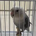 روز ذكر