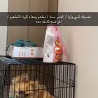 ابراهيم بن يزيد  1