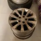 جنوط كابرس 13وكاله