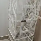قفص طيور كبير