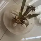 نجف مودرن