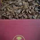عود صيني صبيعي 1300 كينام مستزرع
