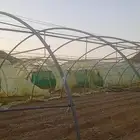 بيوت محمية