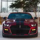 موستنج شلبي GT500 للبيع