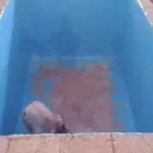 عوازل مائيه وحرارية