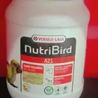 سيريلاك فيرسل لاقا A21