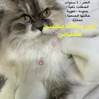 العزيزية حي الدفاع