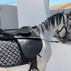 فرس شعبيه معها مهره