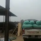 ابوعريش