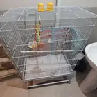 قفص عصافير للبيع