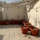 اصيصات زرع خارجية
